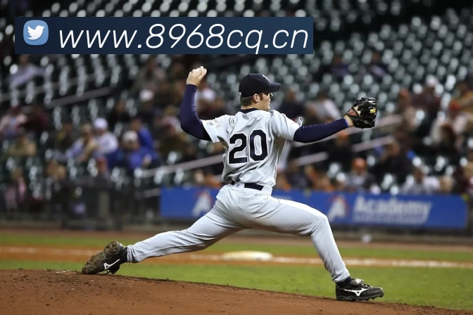 江南·体育(中国)官方网站 - JN SPORTS平台生态图